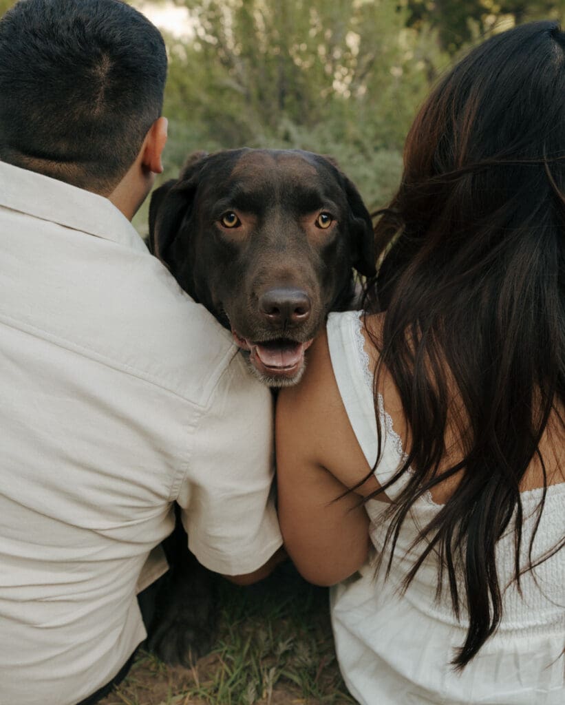 dog sitting in between couple smiling at the camera during their mt charleston engagement photos