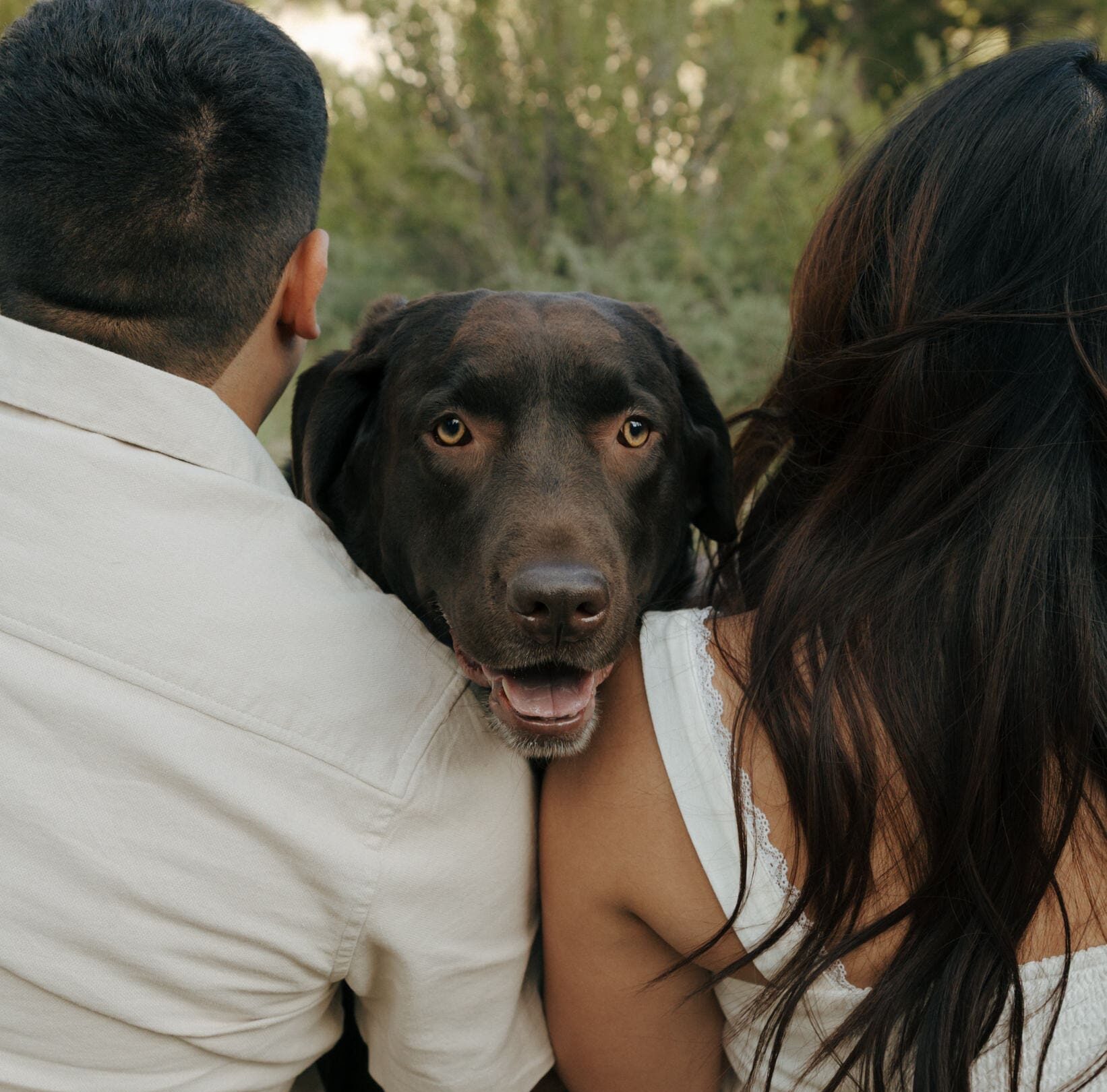 dog sitting in between couple smiling at the camera