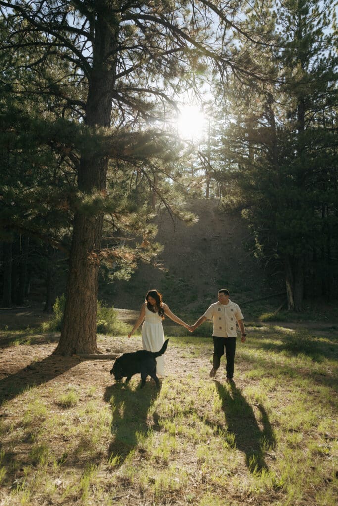 couple walking in mt charleston with their dog