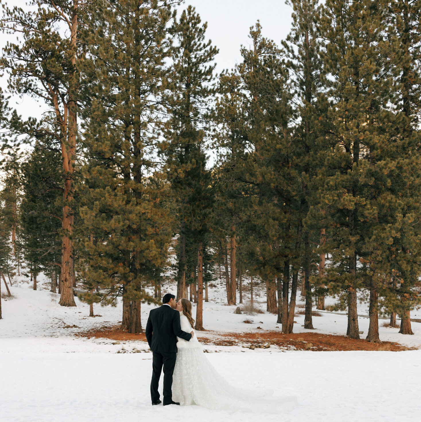 bride and groom kissing at lee meadows in the snow