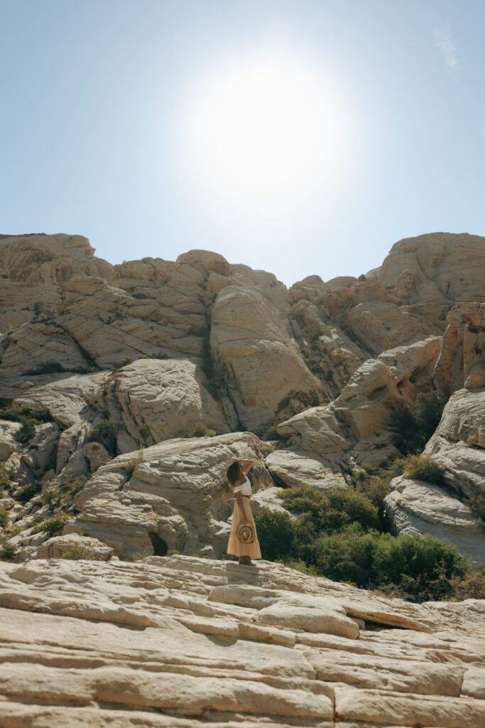 red rock canyon landscape shot
