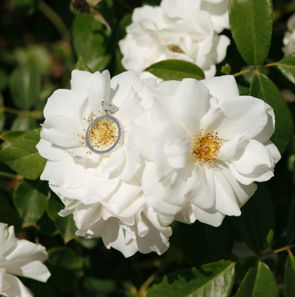 wedding ring laying in middle of white flower