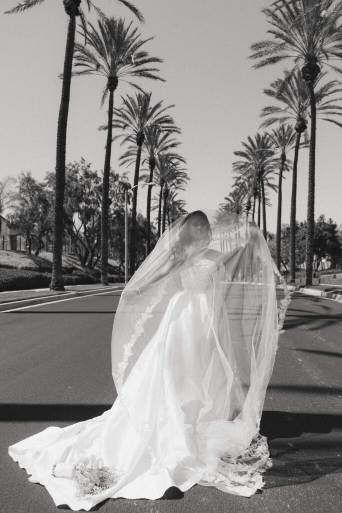 bride editorial pose under veil